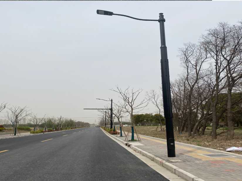巨鹿县上海综合杆 太阳能路灯工程
